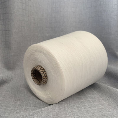 35% คาชเมอรีสูง viscose เช่น crochet ผ้าใบ แอคริลิกผสมเส้น 18S / 2 สีแปรง