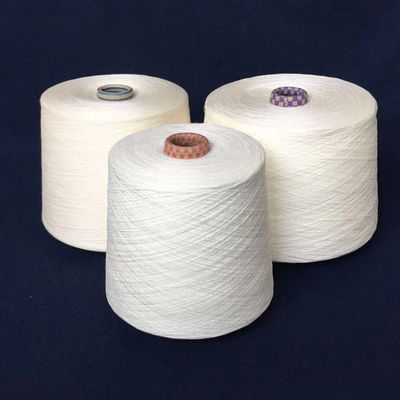 35% คาชเมอรีสูง viscose เช่น crochet ผ้าใบ แอคริลิกผสมเส้น 18S / 2 สีแปรง